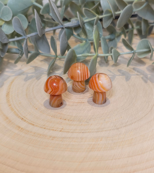 Champignon en Sardonyx