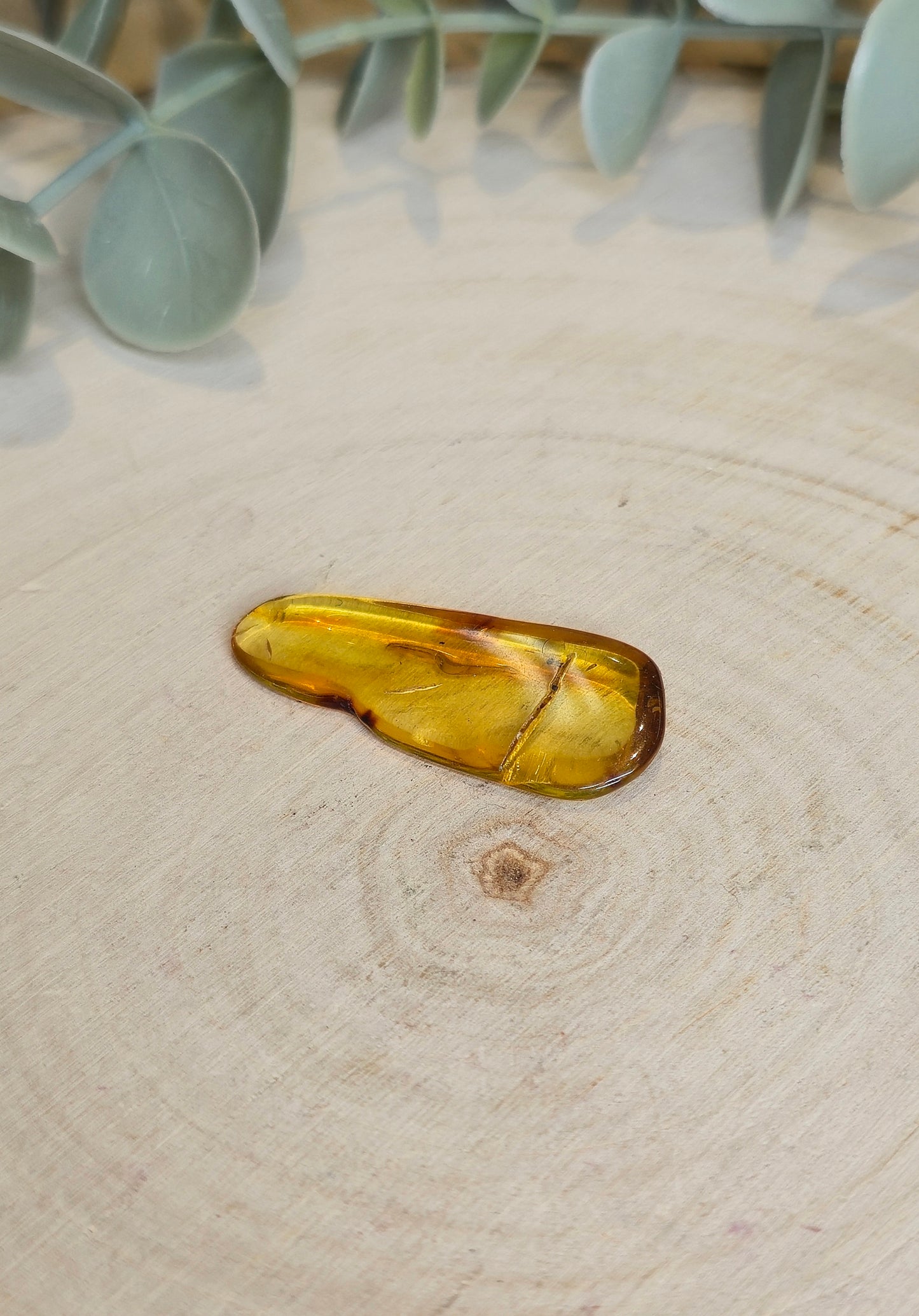 Ambre Baltique barattée