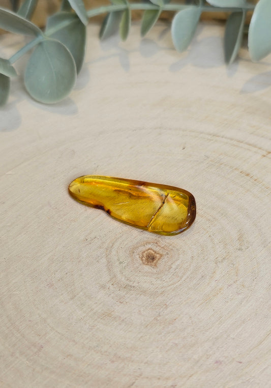 Ambre Baltique barattée