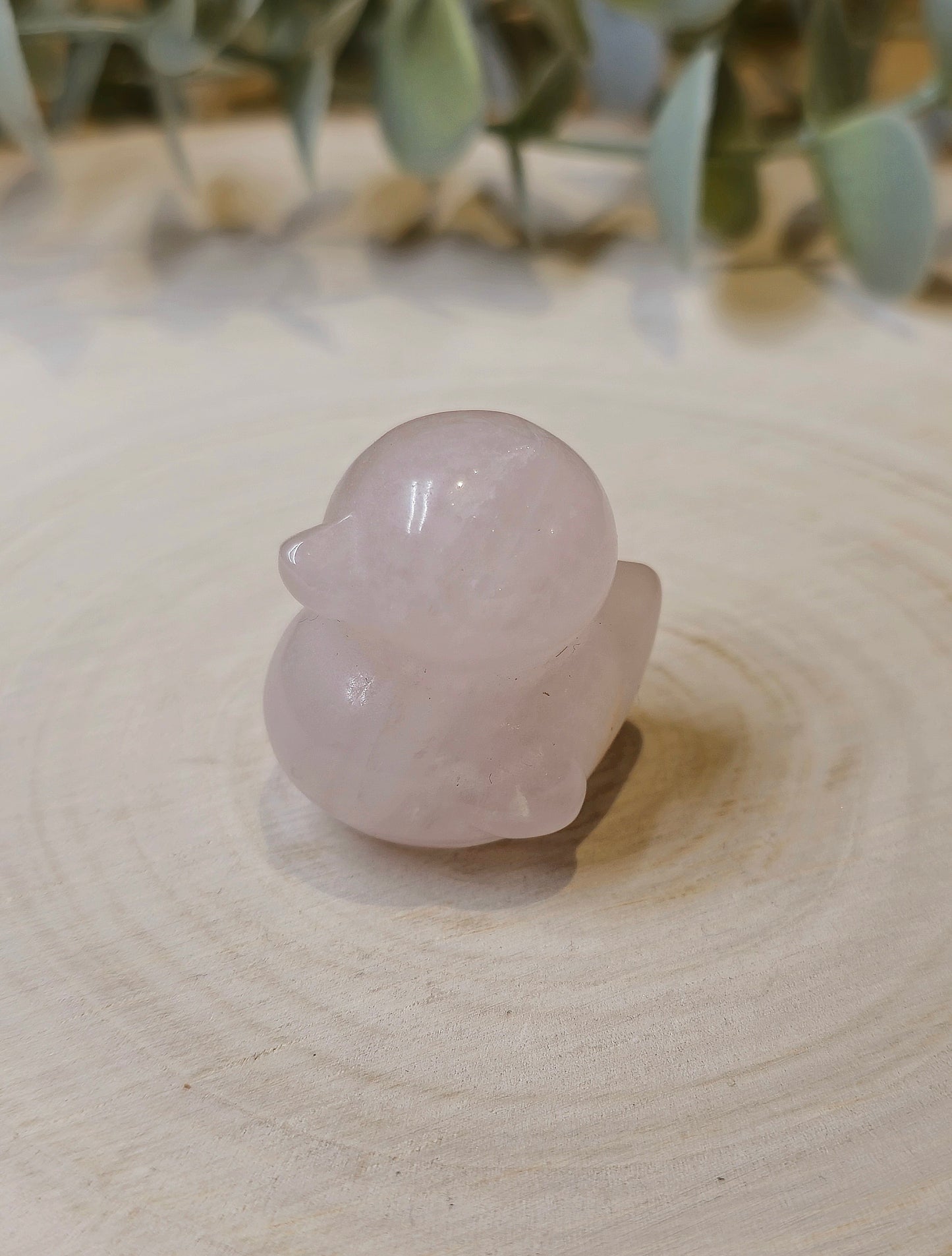 Canard Quartz rose