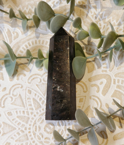 Pointe en Astrophyllite