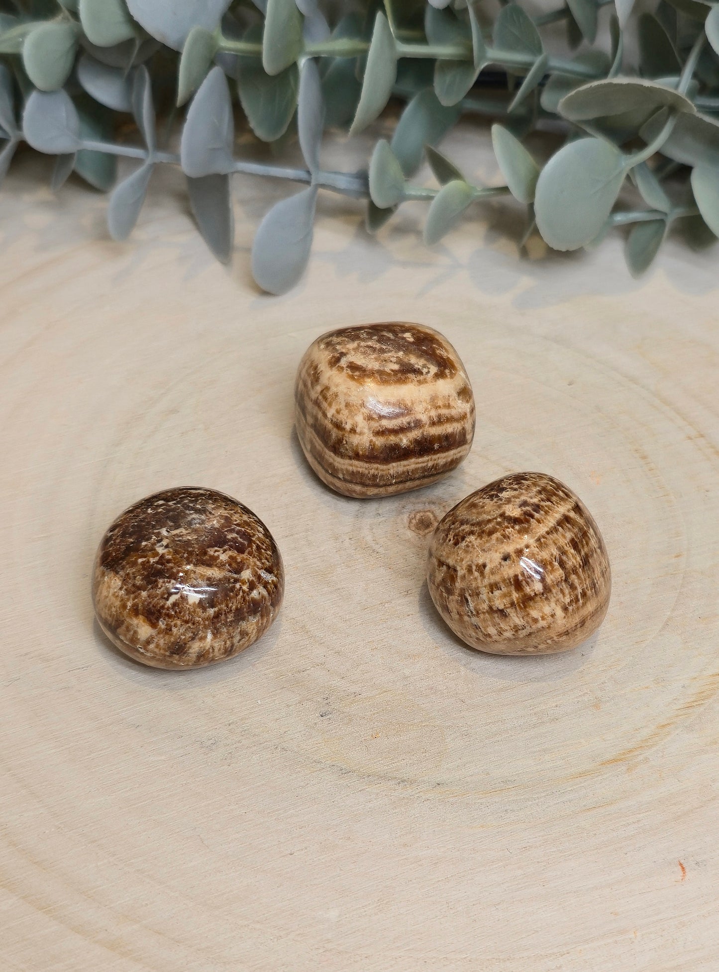Aragonite brune barattée
