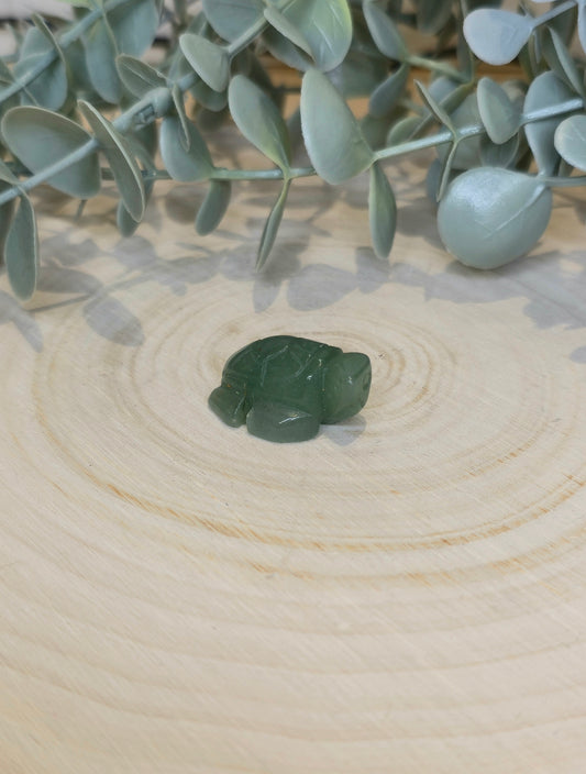 Tortue Aventurine verte