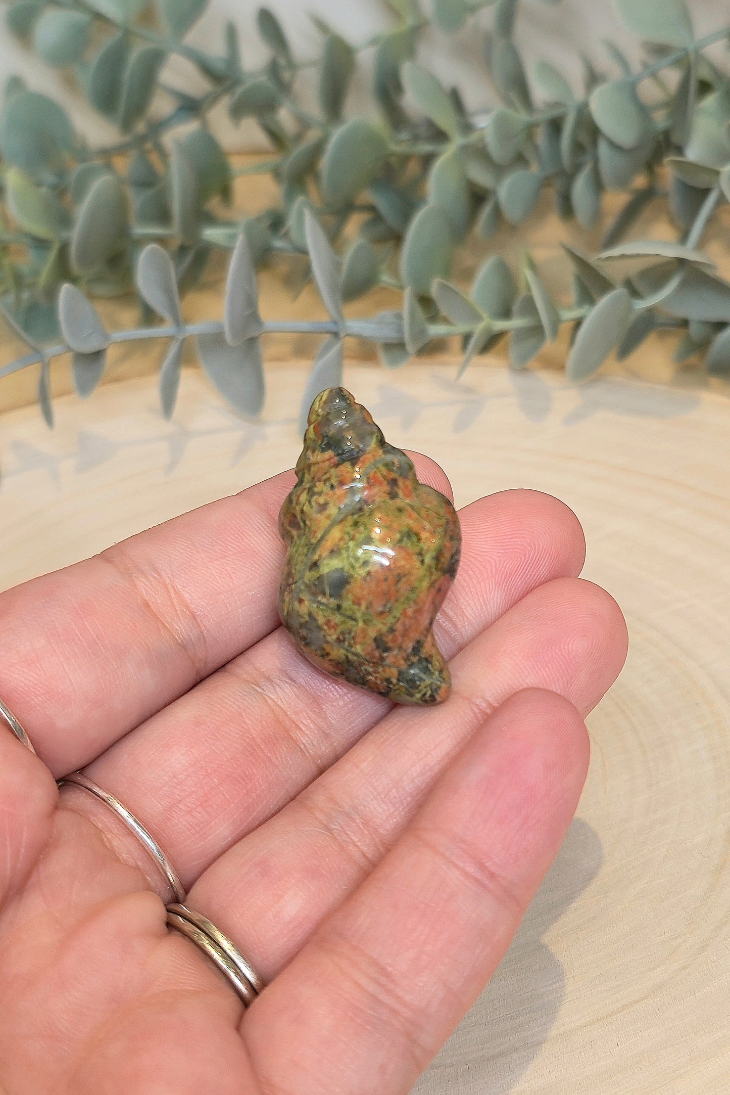 Coquillage Unakite
