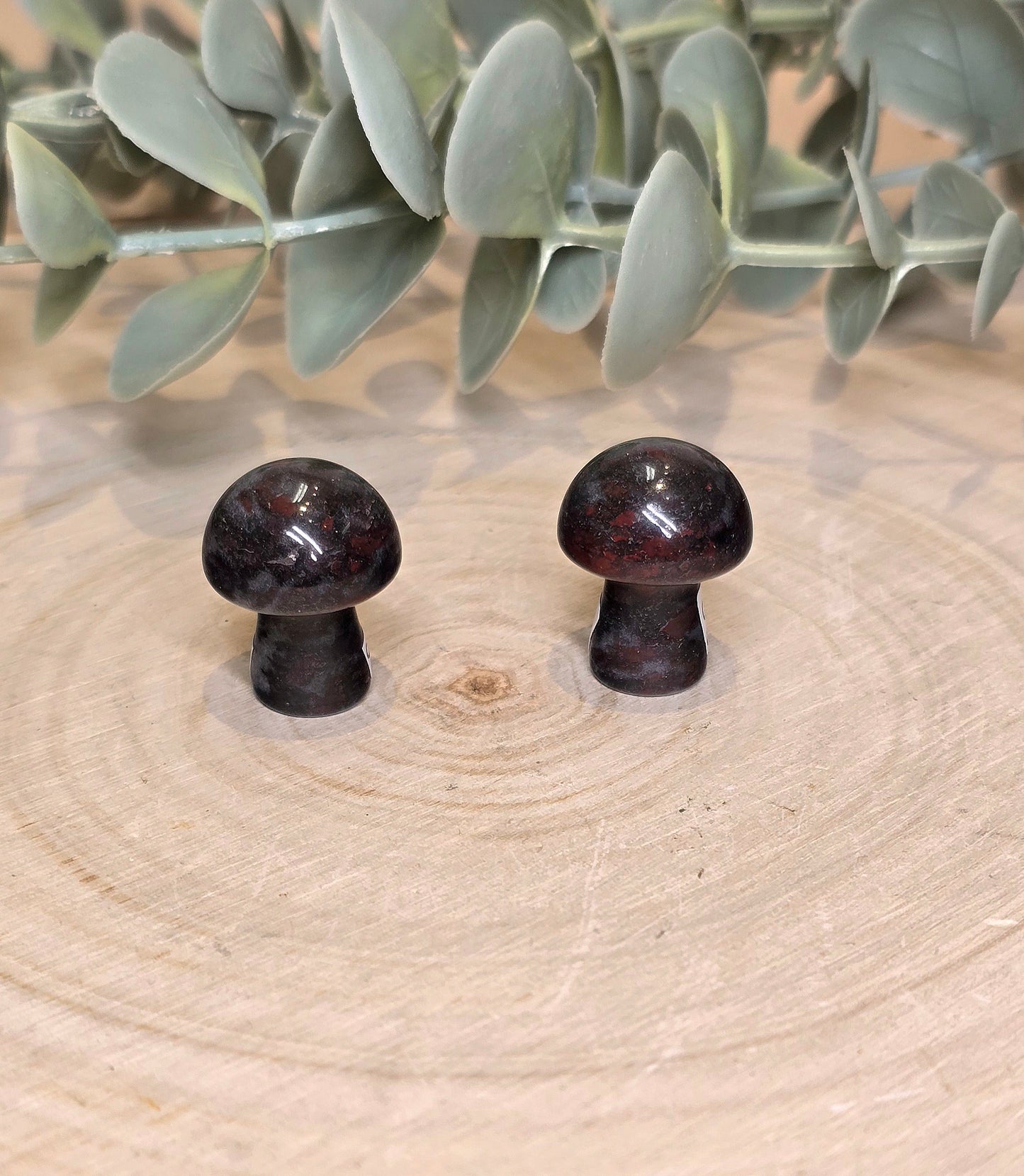 Champignon en Chinese chicken blood