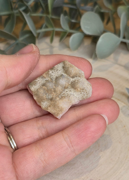 Natrolite brute
