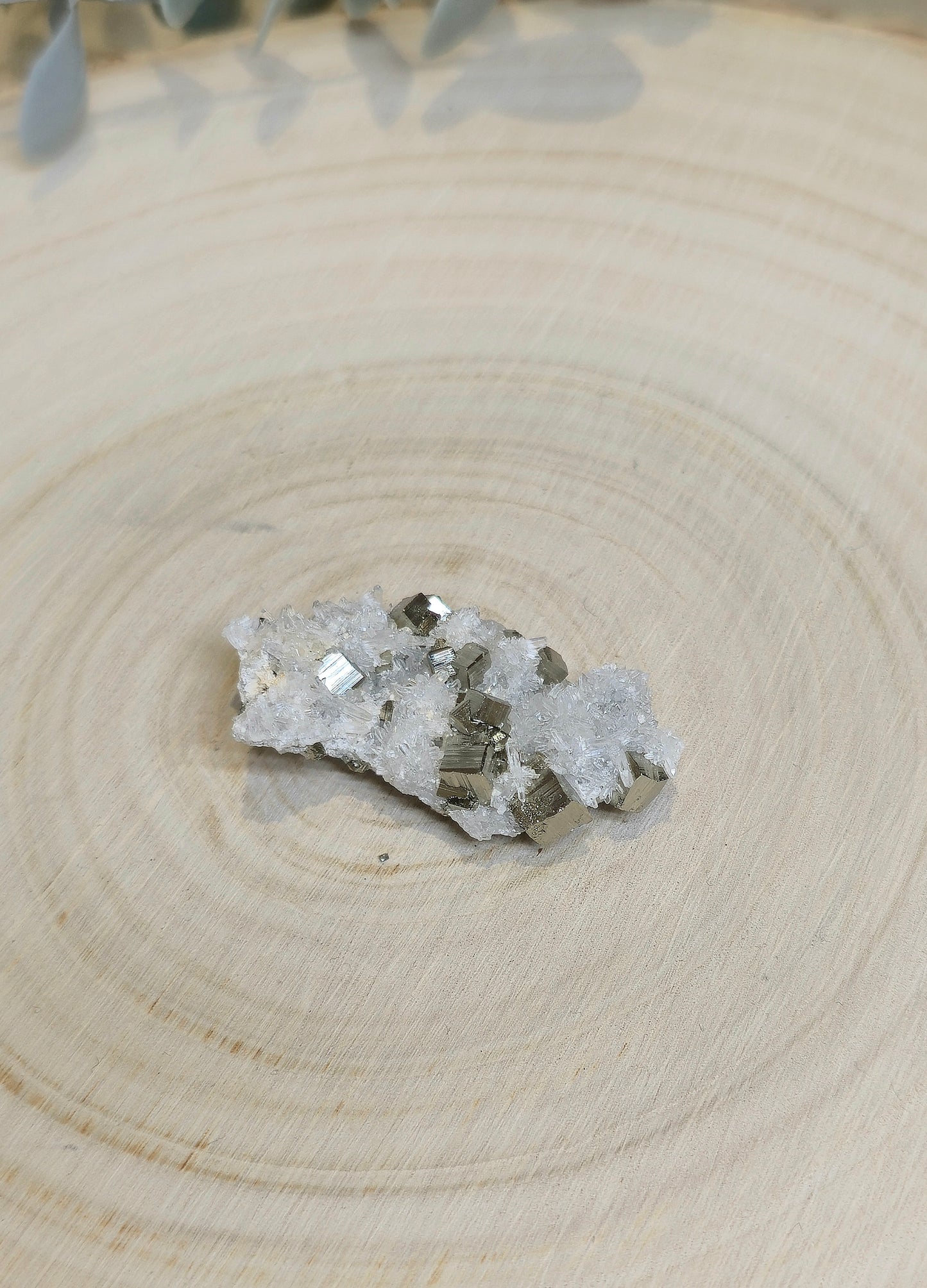 Pyrite dans Quartz clair brute