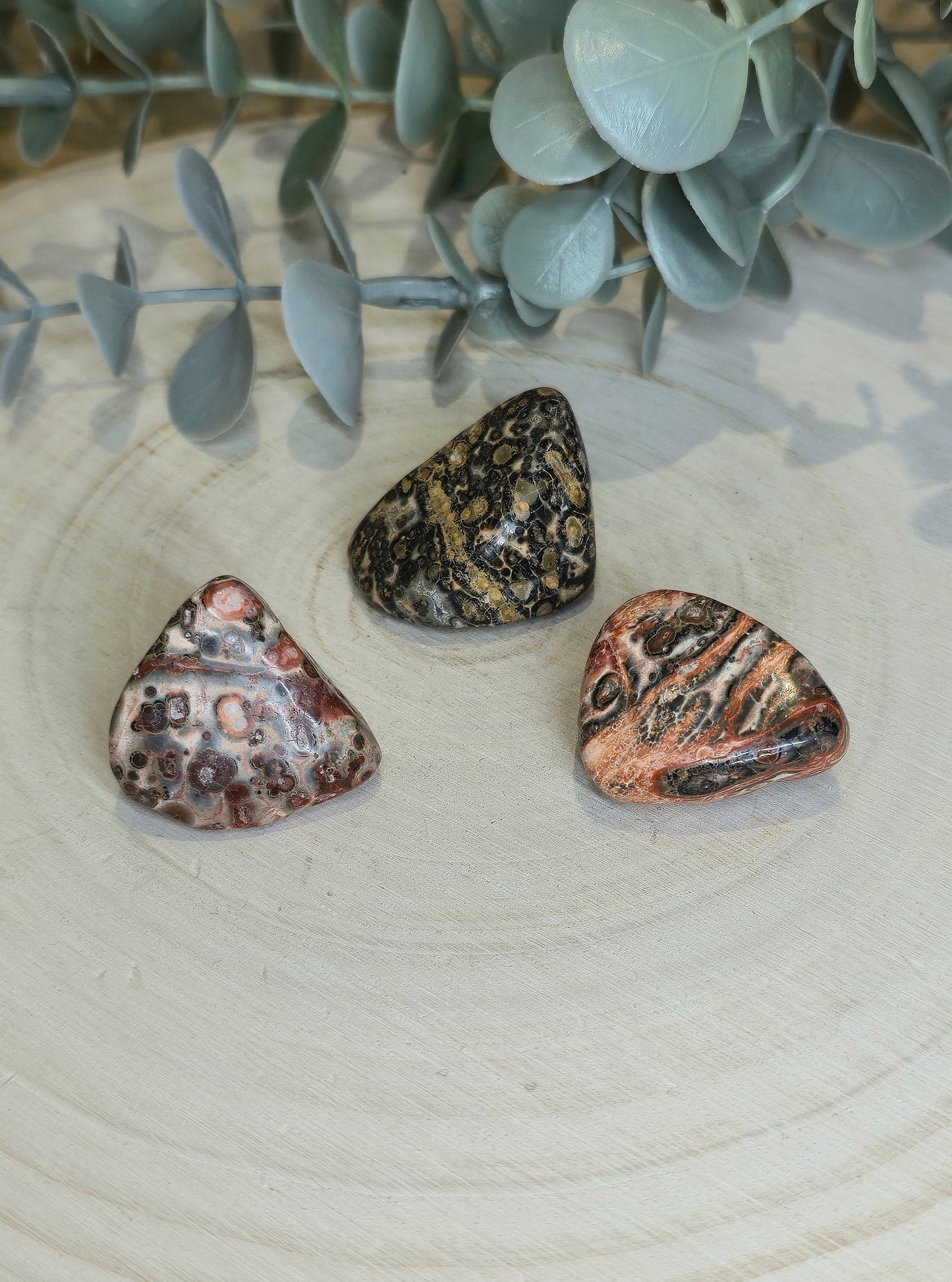 Jaspe Léopard barattée