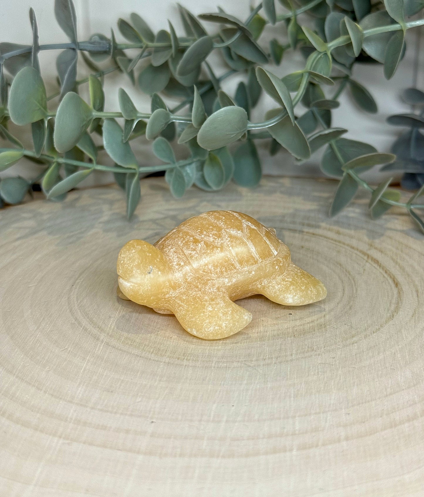 Tortue Calcite jaune