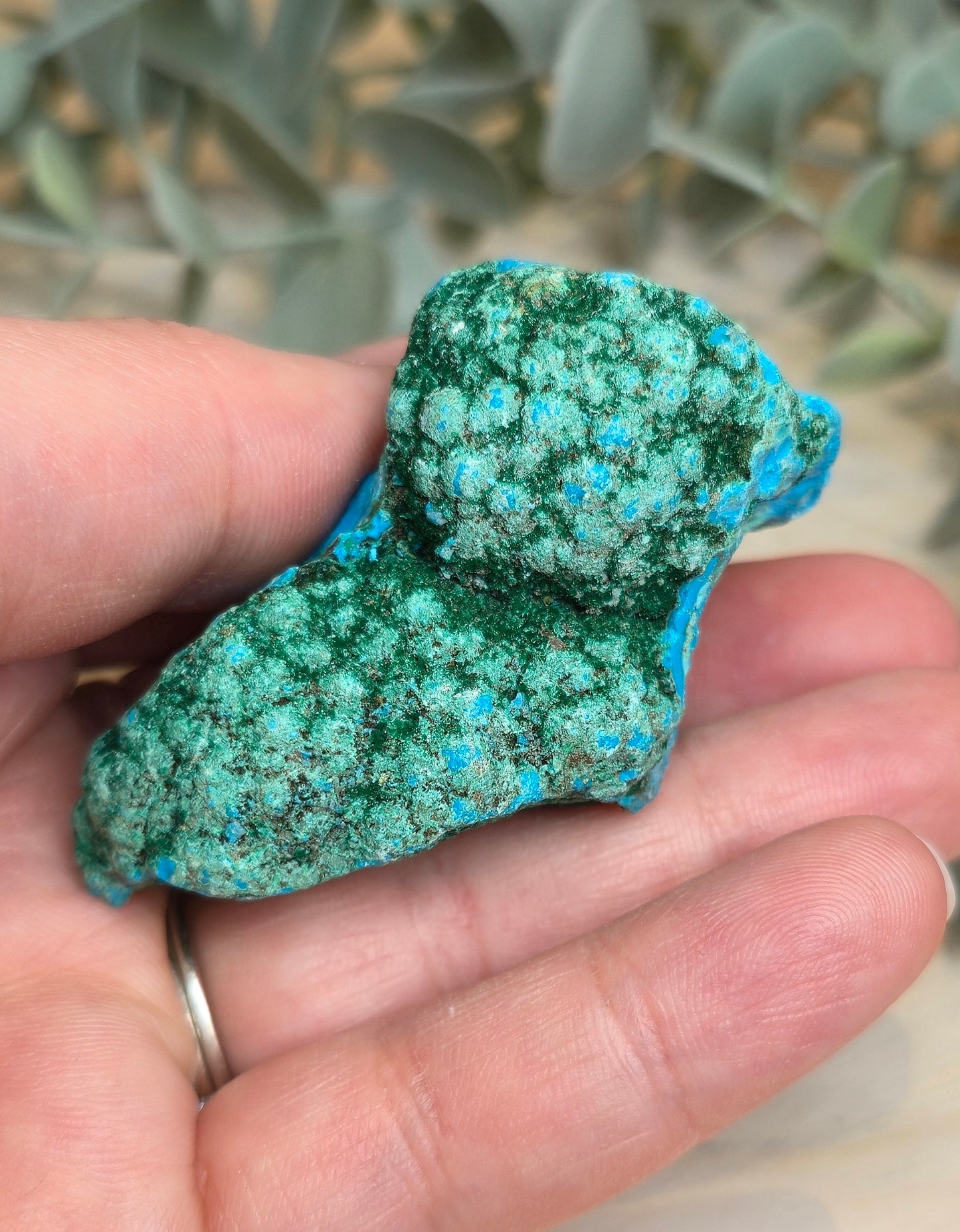 Chrysocolle Malachite du l'Afrique