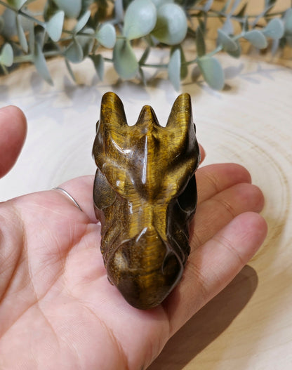 Dragon Oeil de tigre