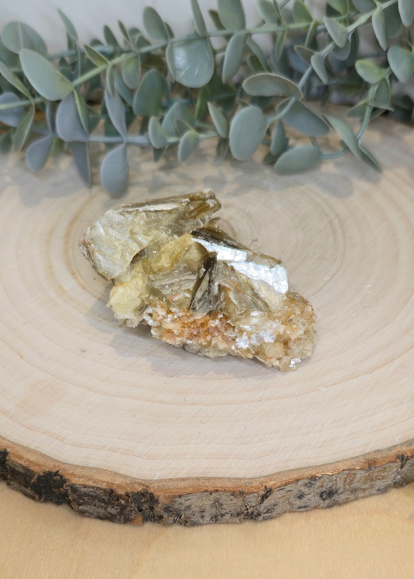 Muscovite du Brésil