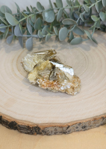 Muscovite du Brésil