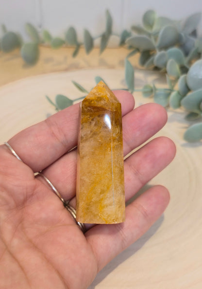 Pointe en Golden Healer