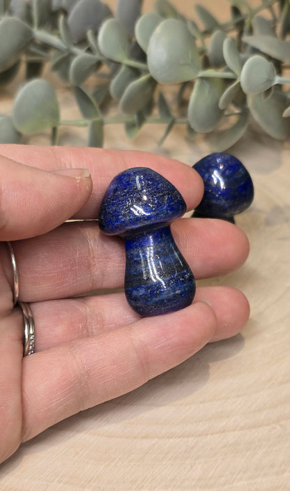 Champignon en Lapis Lazuli