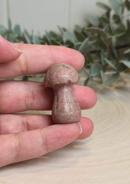 Champignon Rhodonite