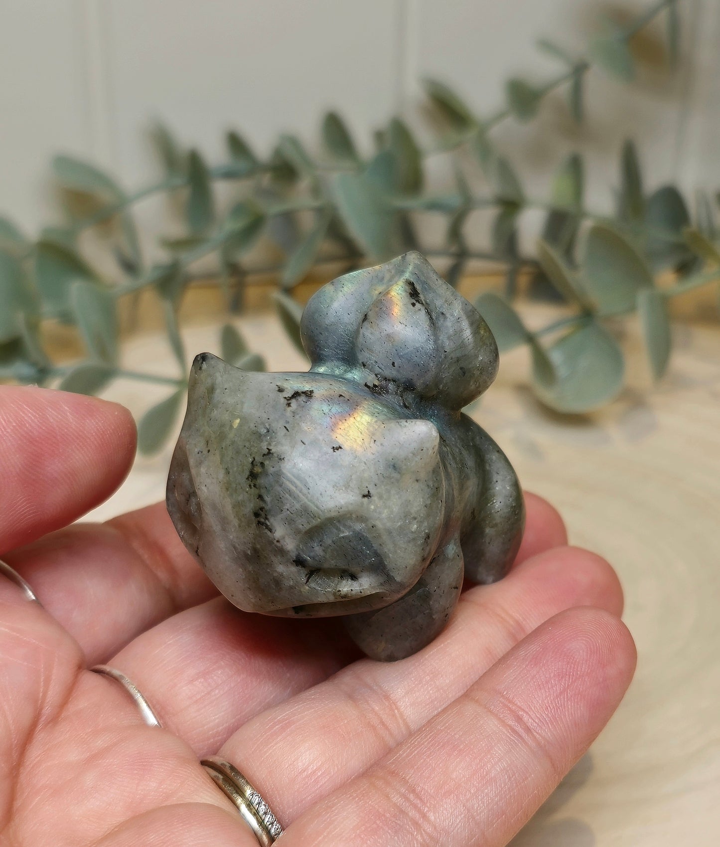 Bulbasaur Labradorite