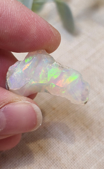 Opale d’Éthiopie brute