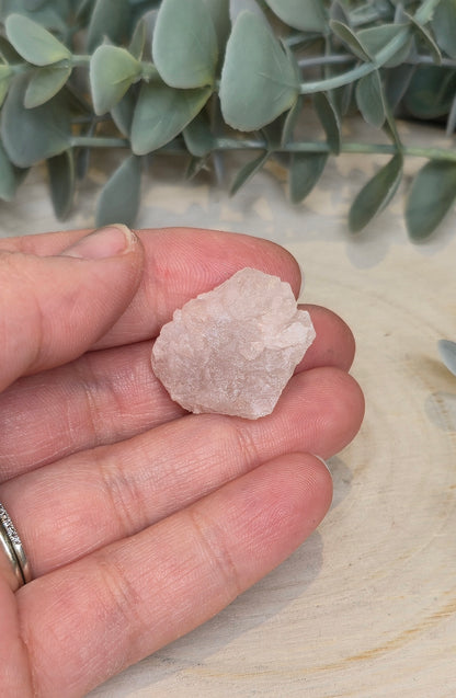 Quartz Nirvana brute
