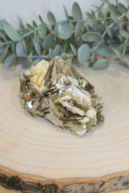 Muscovite du Brésil