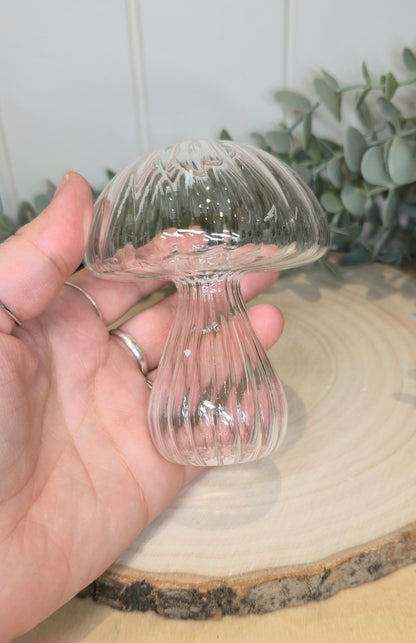 Vase champignon transparent rond