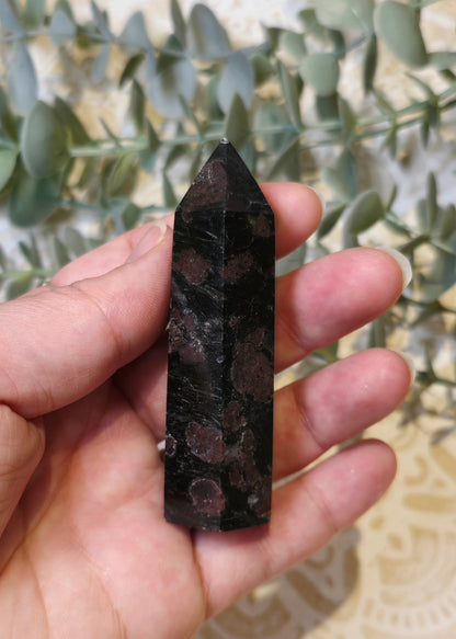 Pointe Grenat dans Astrophyllite