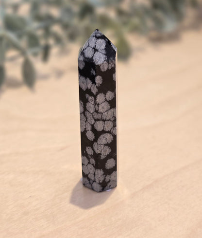 Pointe Obsidienne Snowflake