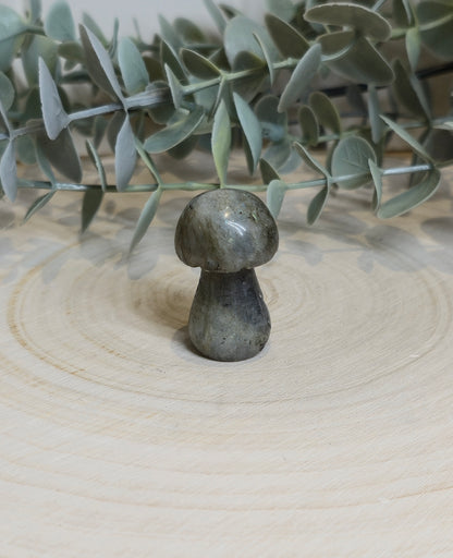 Champignon Labradorite