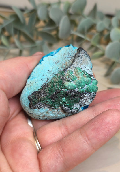 Chrysocolle Malachite du l'Afrique