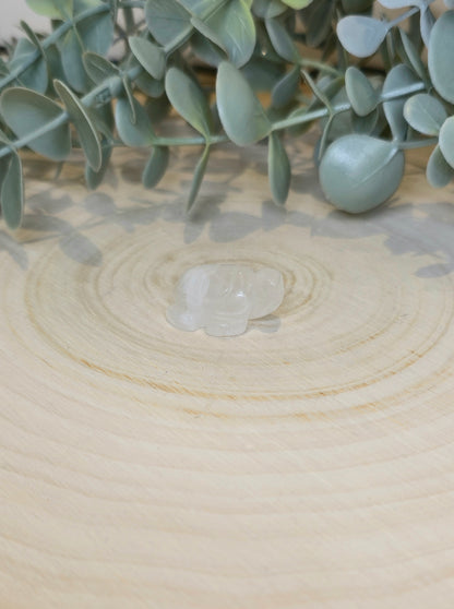 Tortue en Quartz clair