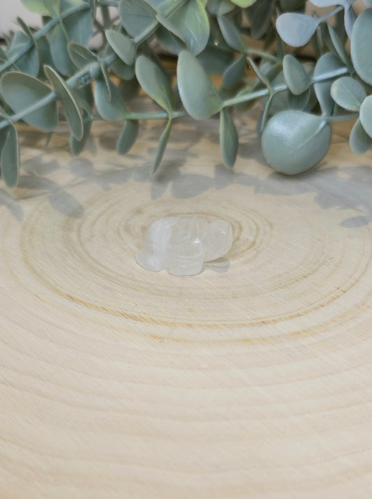 Tortue en Quartz clair