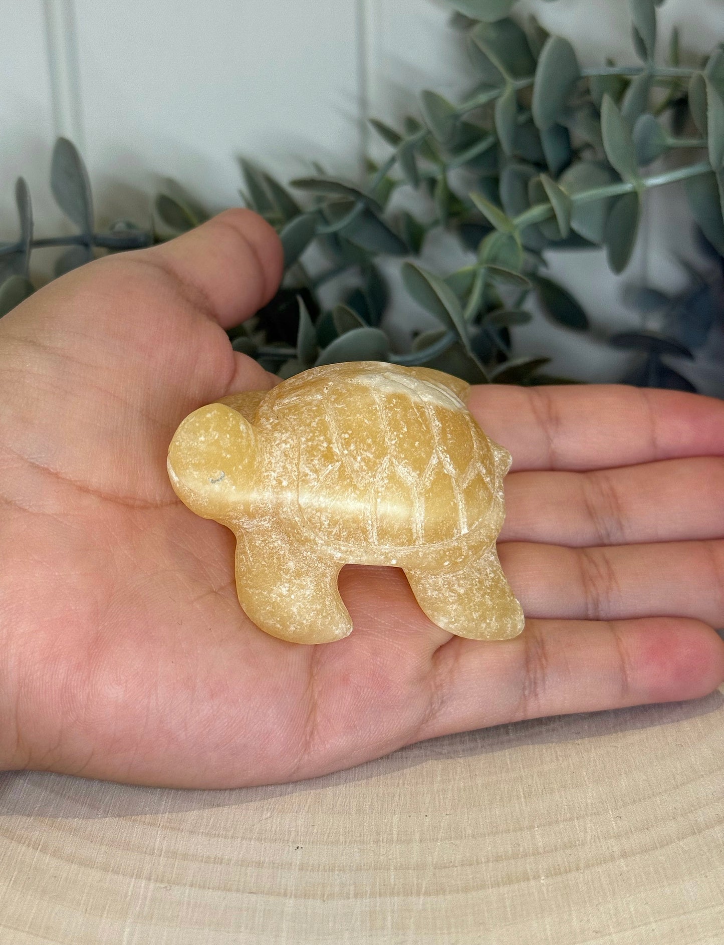 Tortue Calcite jaune