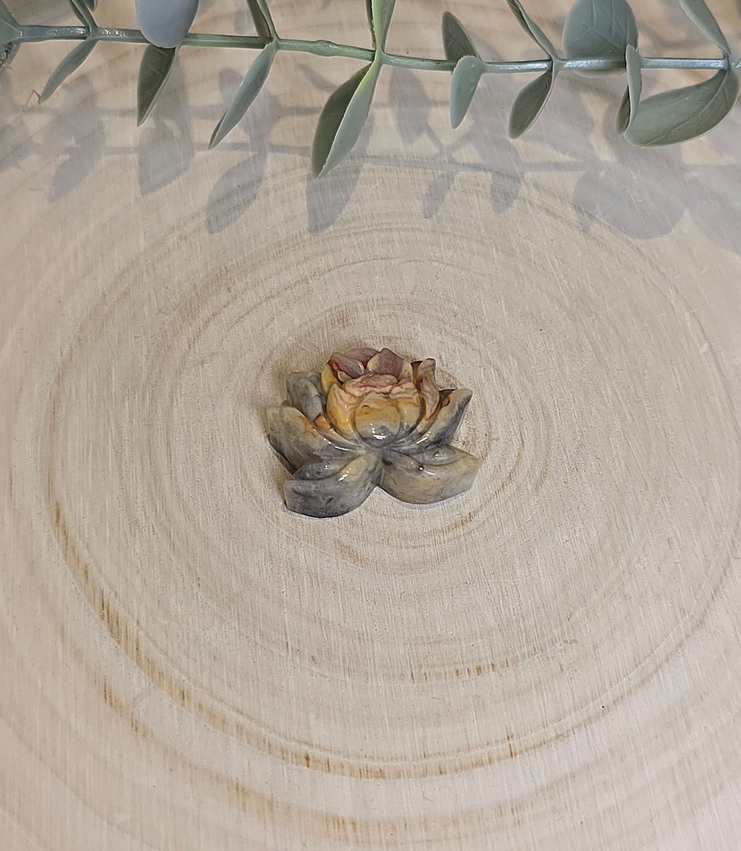 Lotus en Agate fou (crazy lace)