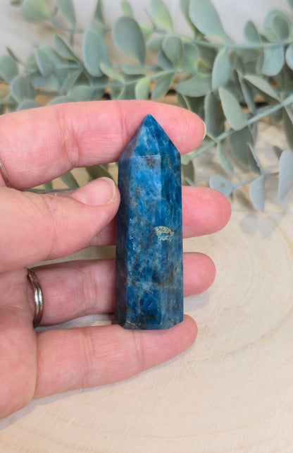 Pointe en Apatite