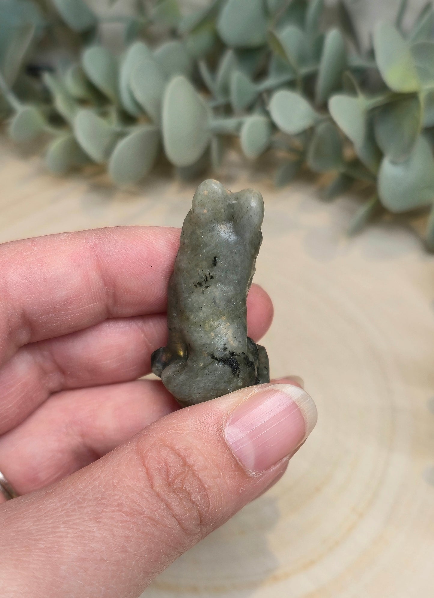 Chien en Labradorite