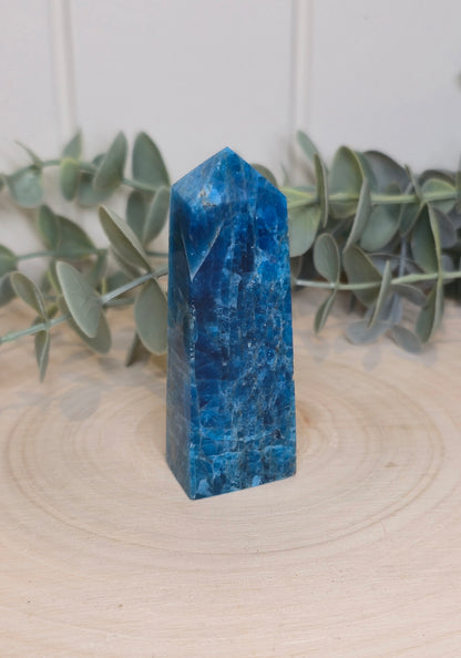 Pointe en Apatite