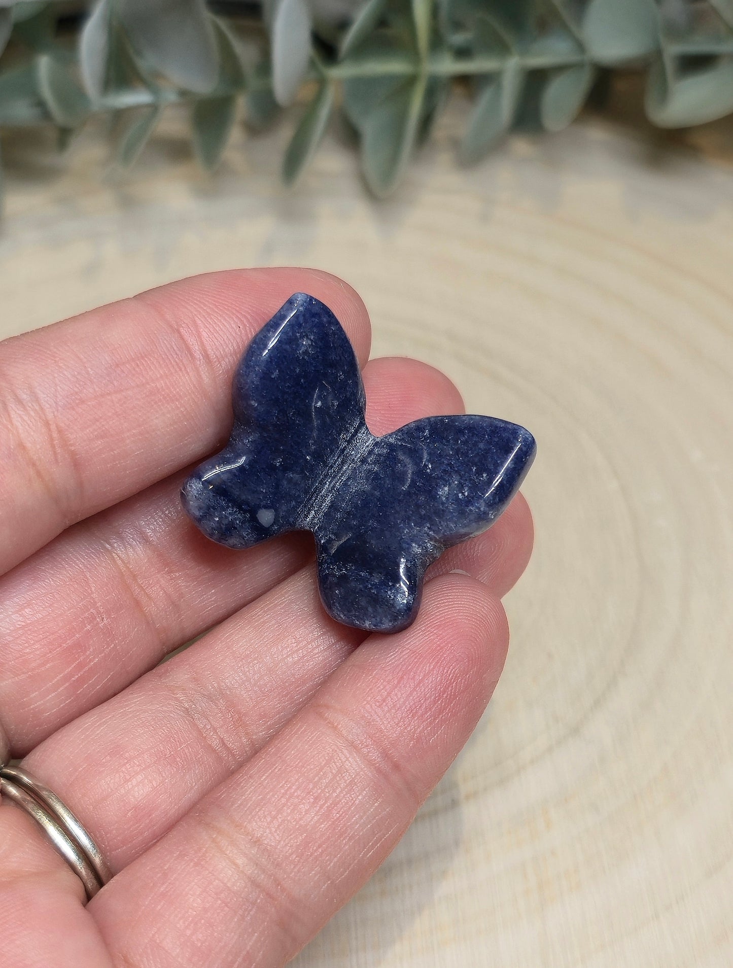 Papillon Aventurine bleue