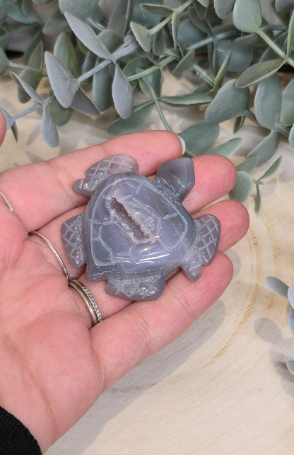 Tortue en Agate
