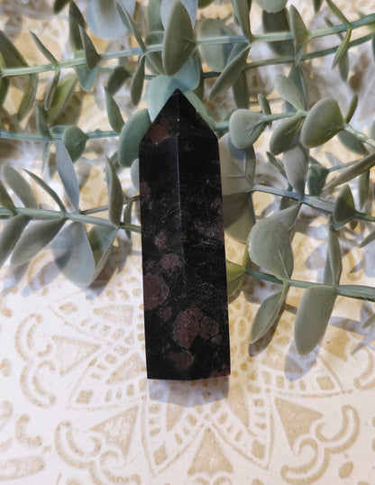 Pointe Grenat dans Astrophyllite