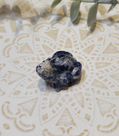Grenouille Sodalite