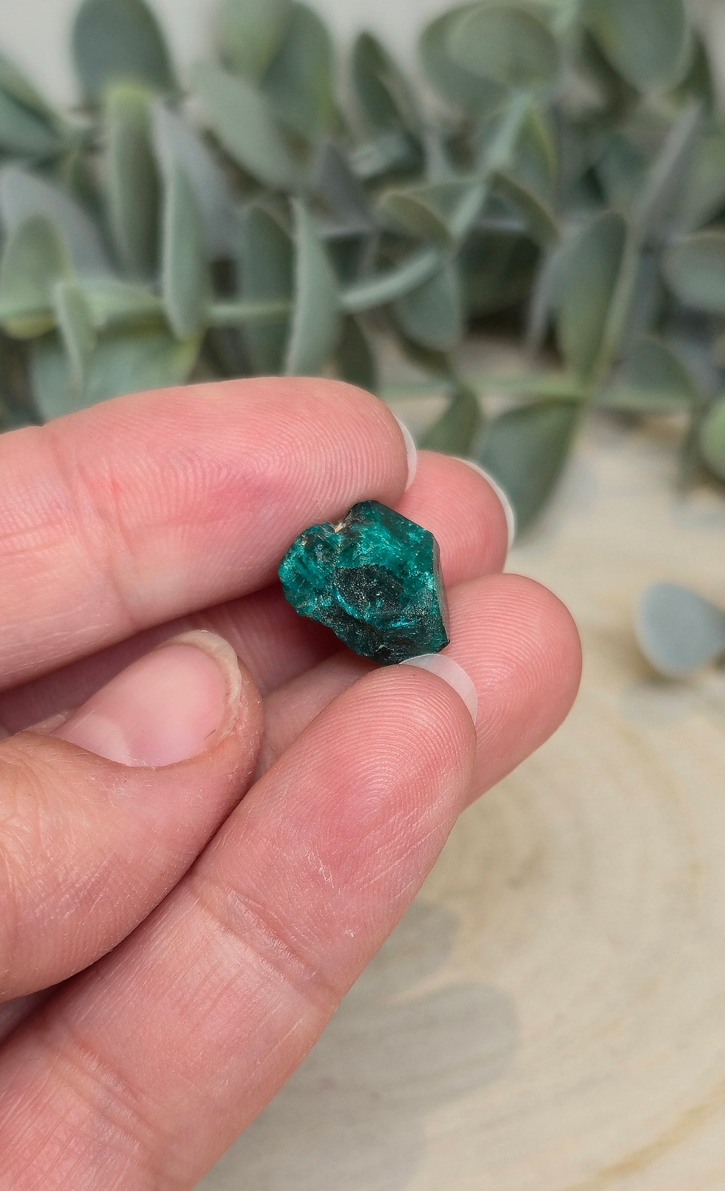 Dioptase brute