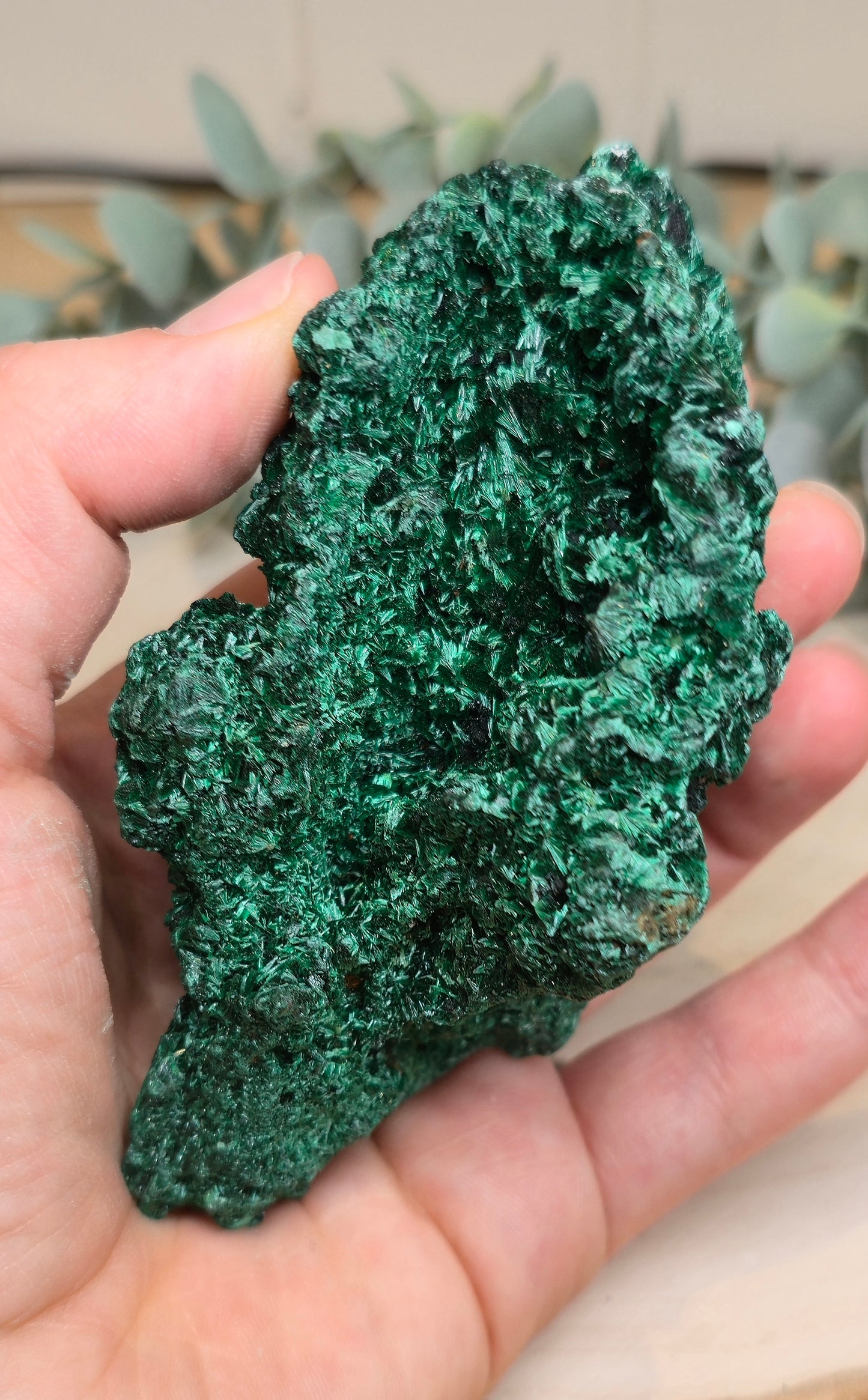 Malachite velour brute de l'Afrique