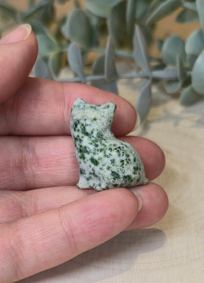 Chat en Jaspe Green dots