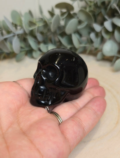 Crâne Obsidienne