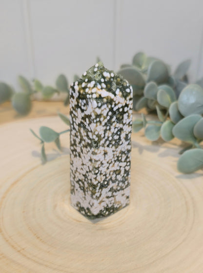 Pointe en Jaspe Océan 8e veine