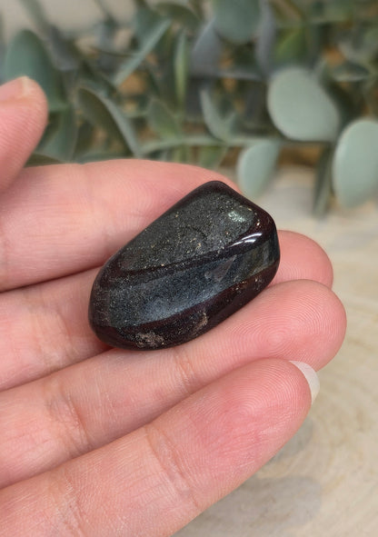 Ancestralite barattée