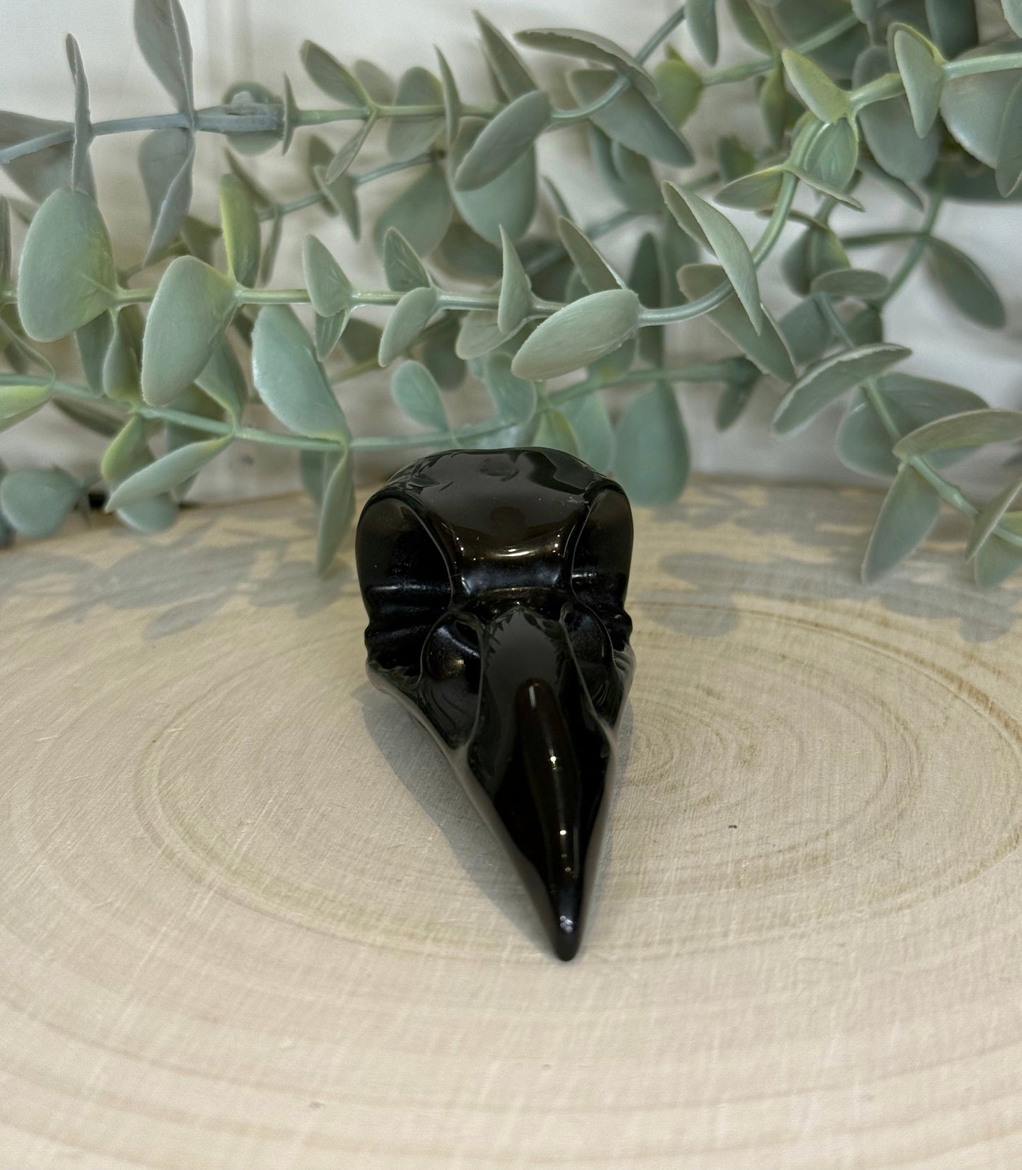 Crâne de corbeau en Obsidienne