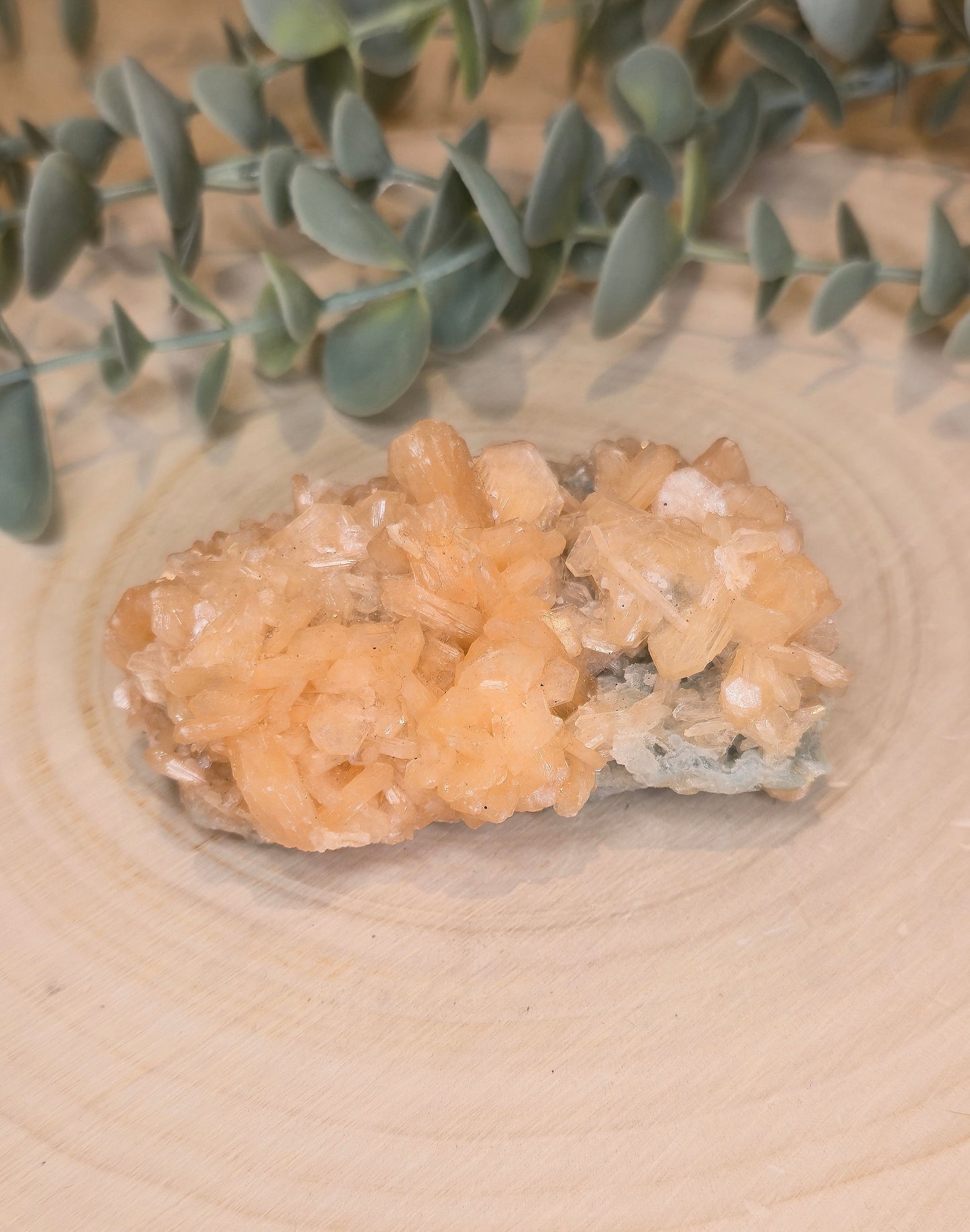 Stilbite brute d’Inde