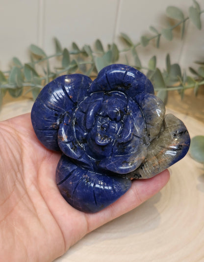 Fleur Sodalite