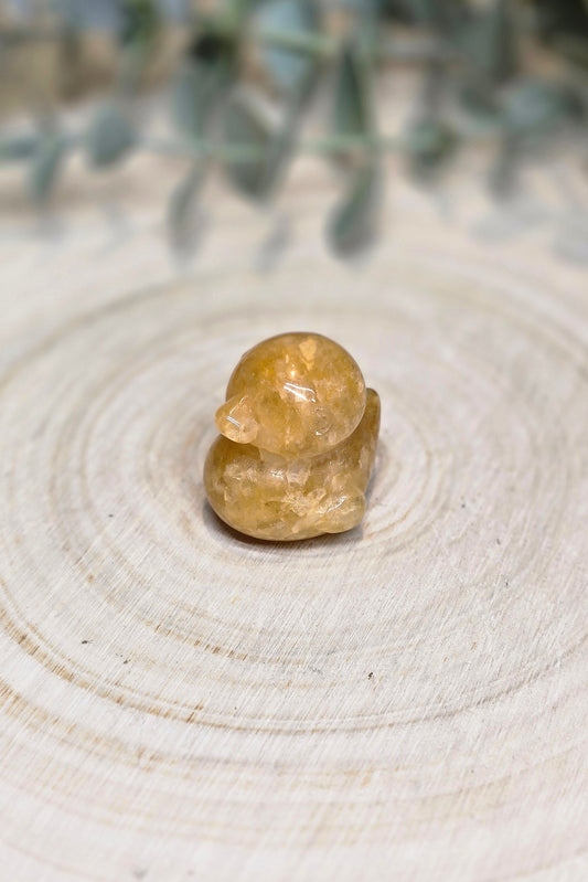 Canard Golden healer